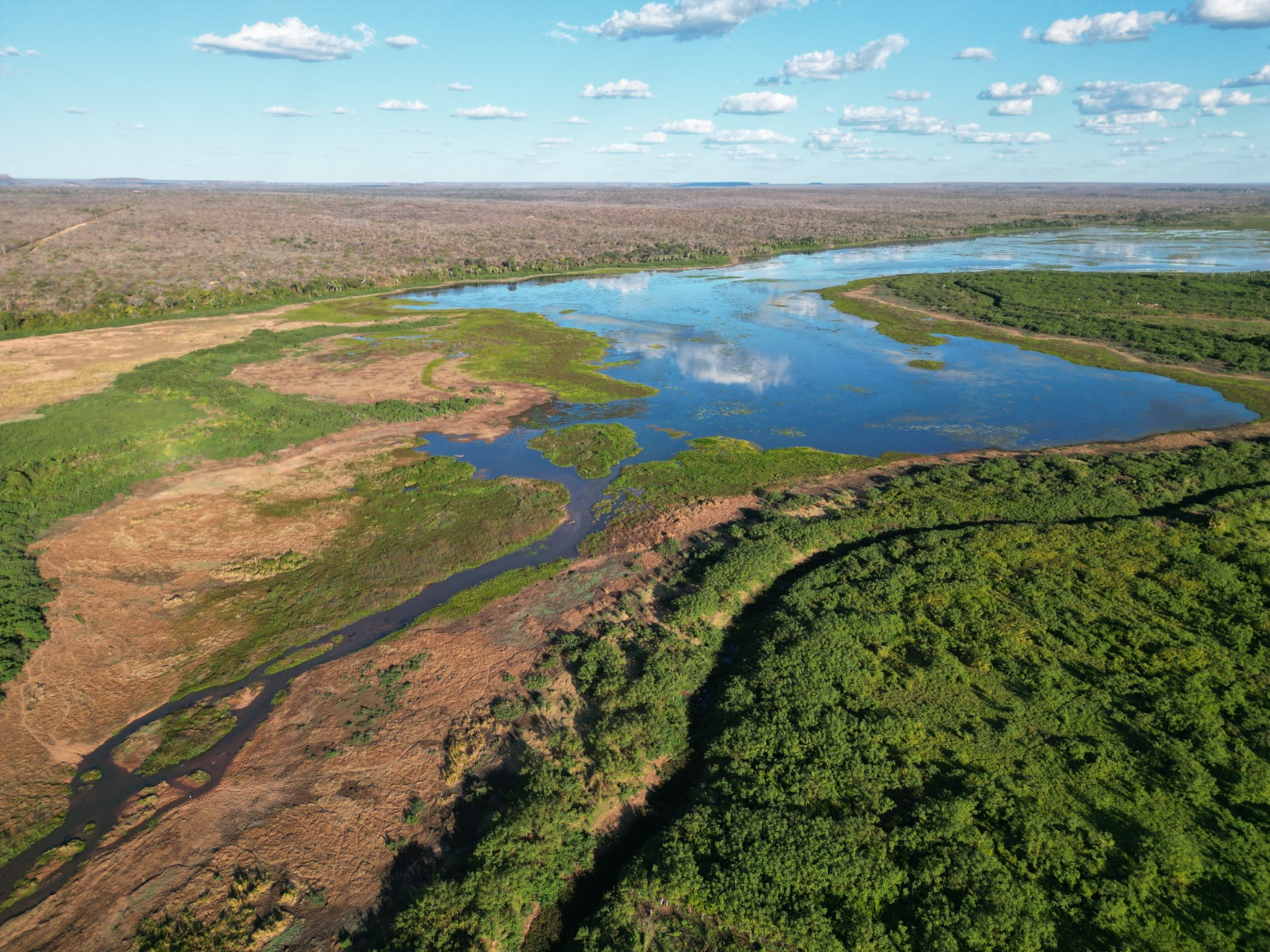 Piauí tem painel aprovado para a COP30 em Belém (PA) e reforça protagonismo climático no Brasil